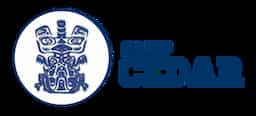company logo