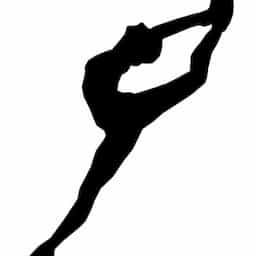 company logo