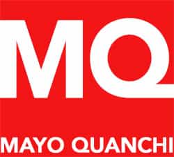 company logo