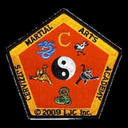 company logo
