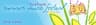 Cole Family Summer Music Festival company logo