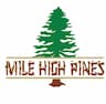 Future Leaders of America at Camp Mile High Pines company logo
