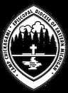 Camp Chickagami company logo