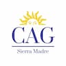 Creative Arts Group company logo