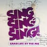 Sing Sing Sing company logo