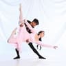 Ligioso Ballet Studio company logo