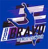 Bravo Dance Center company logo