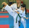 AZ Yong-In Taekwondo company logo