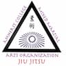 Amherst Mixed Martial Arts Organization company logo