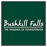 Bushkill Falls company logo