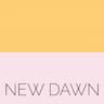 New Dawn Arts Center company logo