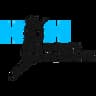 H&H Dance Academy company logo