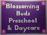 Blossoming Buds Preschool and Daycare company logo