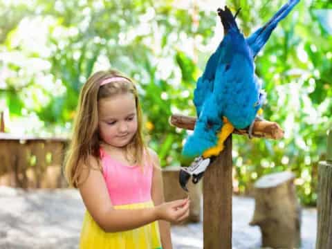 a girl holds a parrot