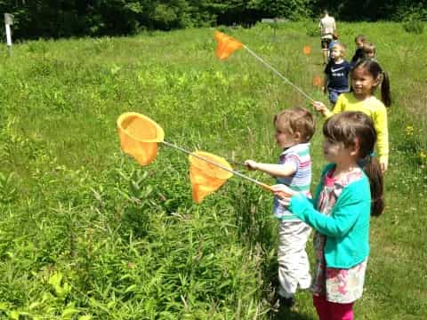 kids flying kites in grass