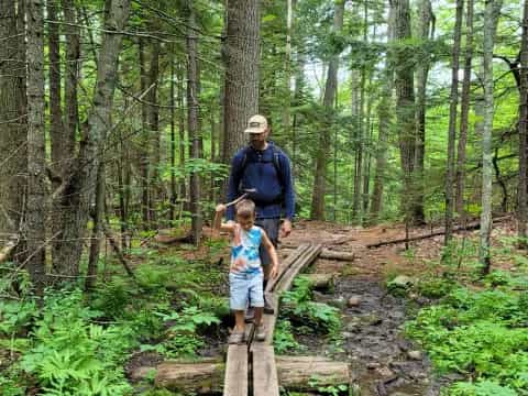 a man and a child on a wooden bridge in the woods