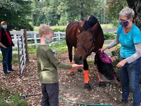 a person and a boy petting a horse