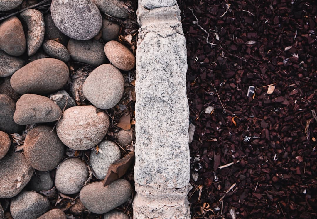 gray stone on brown soil