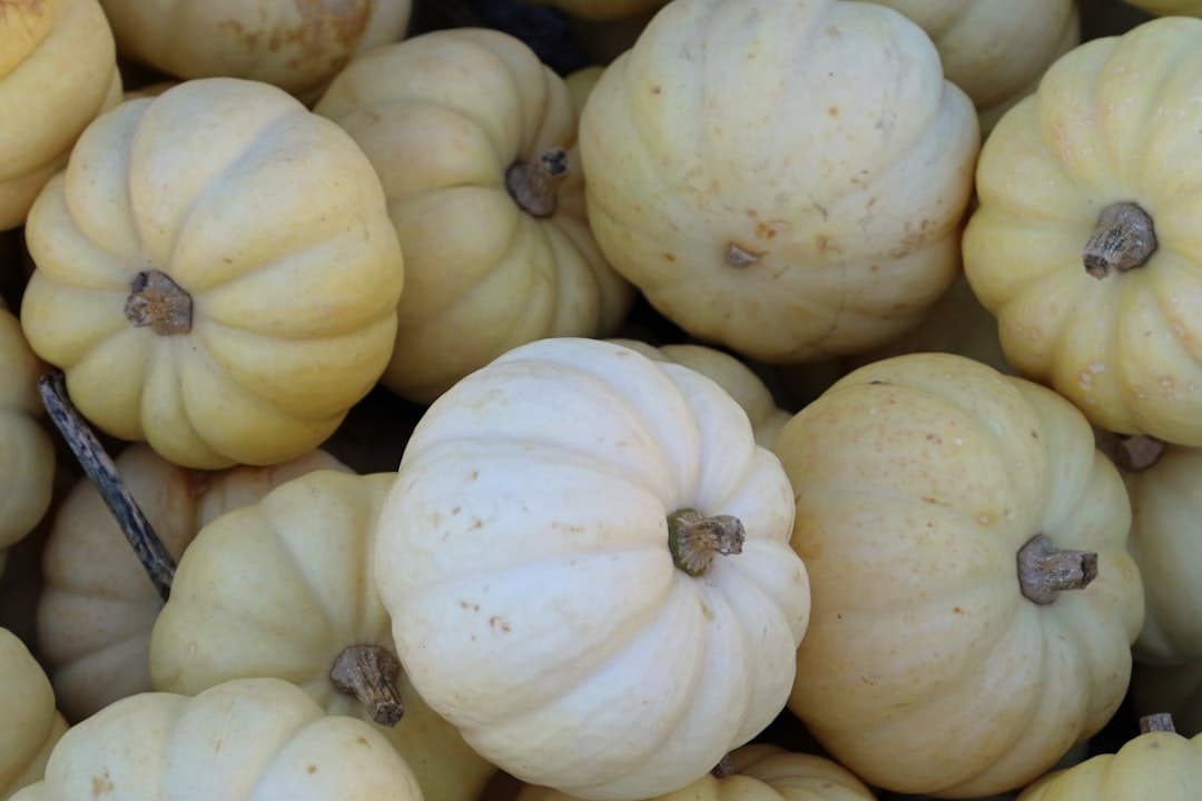 a pile of white pumpkins sitting next to each other